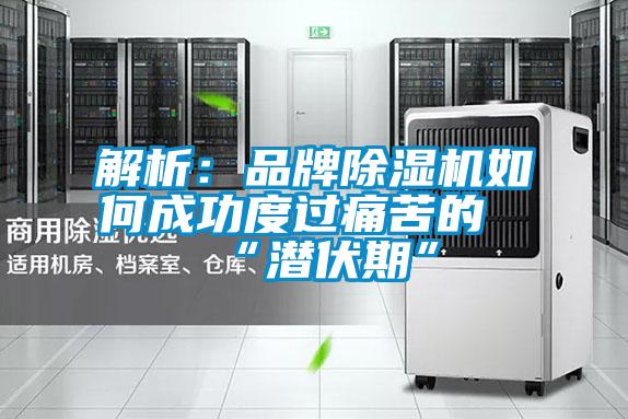 解析：品牌除濕機如何成功度過痛苦的“潛伏期”