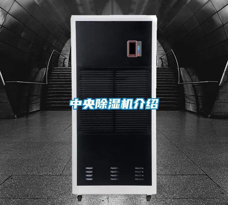 中央除濕機介紹