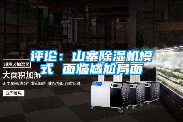 評(píng)論：山寨除濕機(jī)模式 面臨尷尬局面