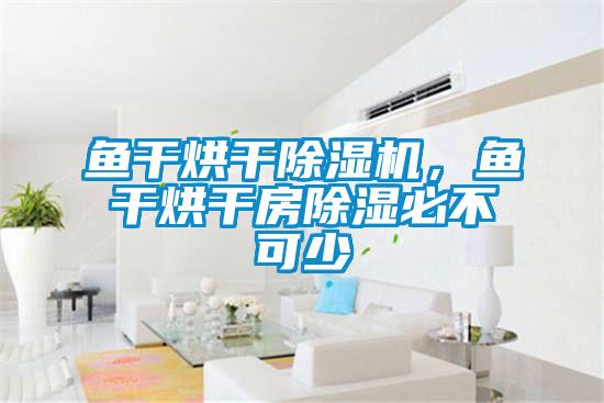 魚(yú)干烘干除濕機(jī)，魚(yú)干烘干房除濕必不可少