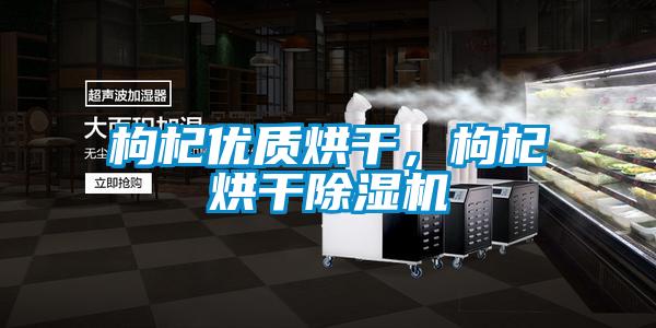 枸杞優質烘干，枸杞烘干除濕機