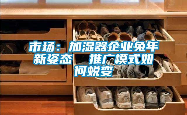 市場：加濕器企業(yè)兔年新姿態(tài)  推廣模式如何蛻變