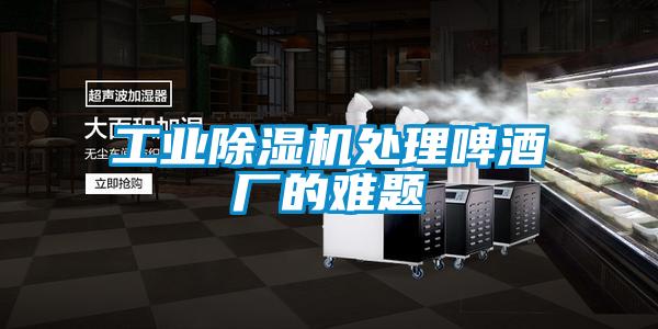工業除濕機處理啤酒廠的難題