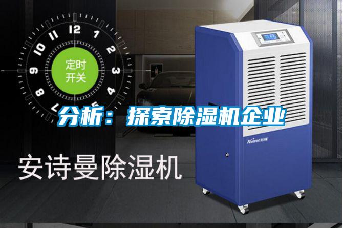 分析：探索除濕機企業