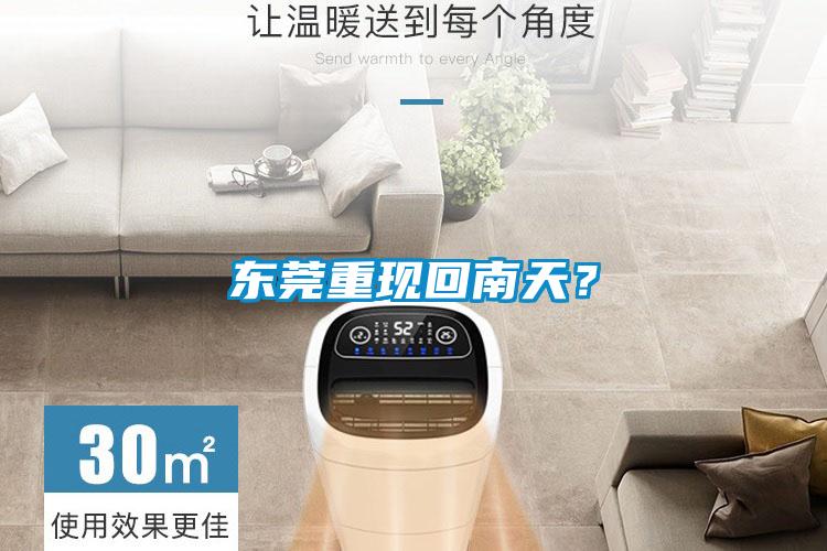 東莞重現回南天？