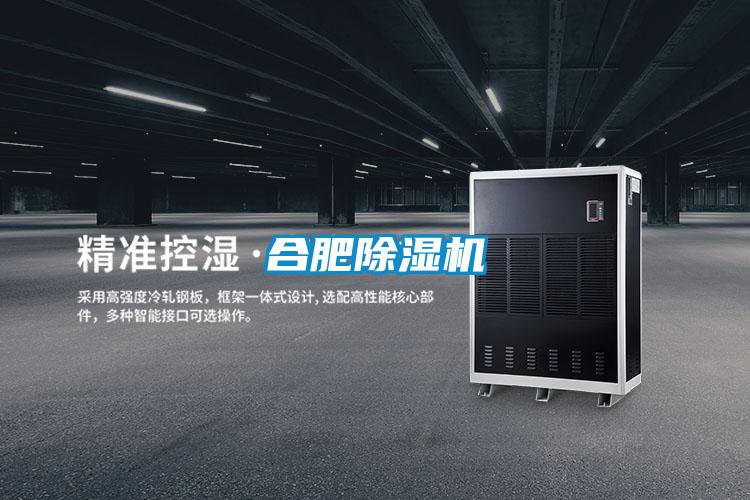 合肥除濕機(jī)