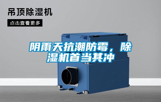 陰雨天抗潮防霉，除濕機首當其沖