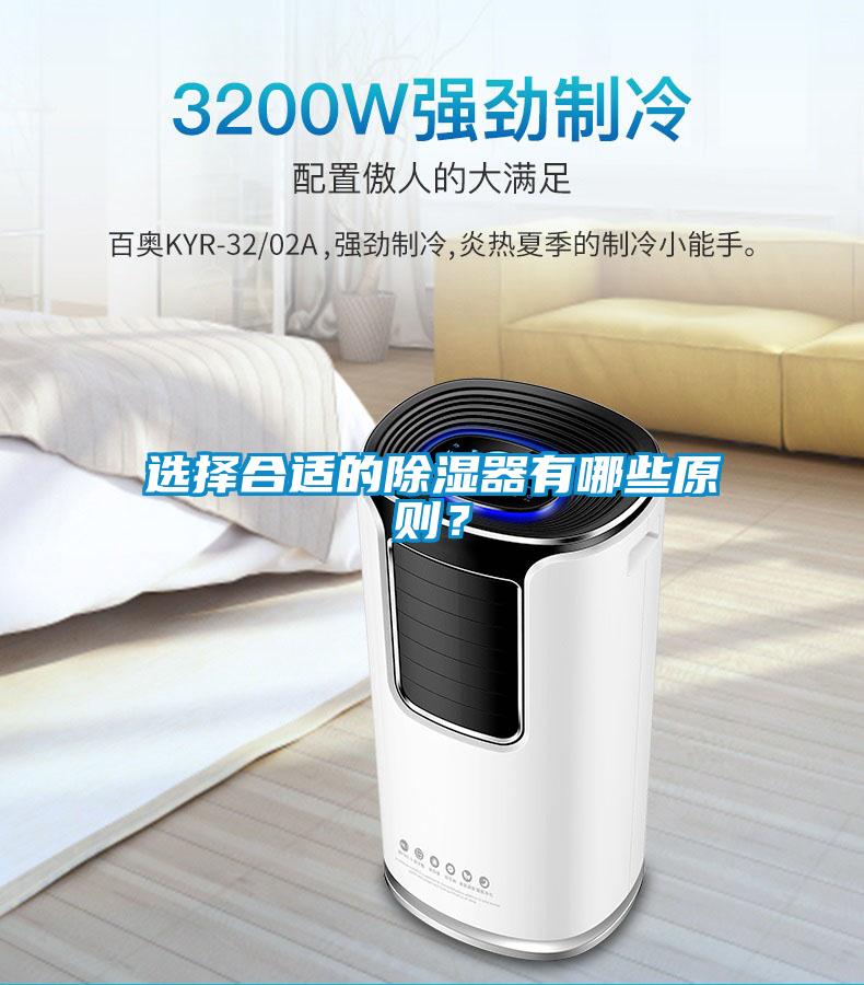 選擇合適的除濕器有哪些原則？