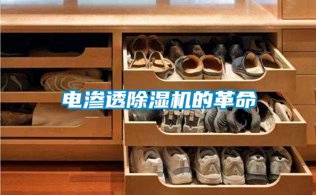 電滲透除濕機的革命