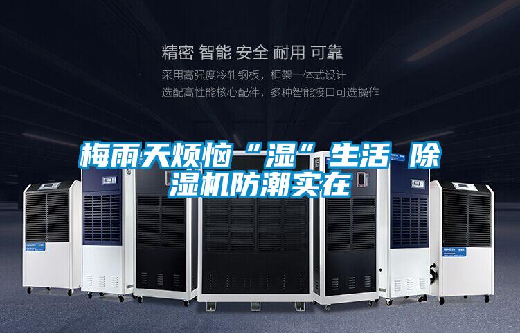 梅雨天煩惱“濕”生活 除濕機防潮實在