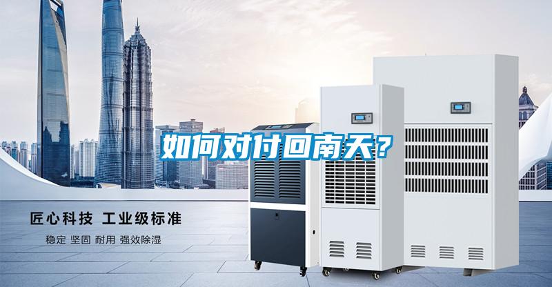 如何對付回南天？