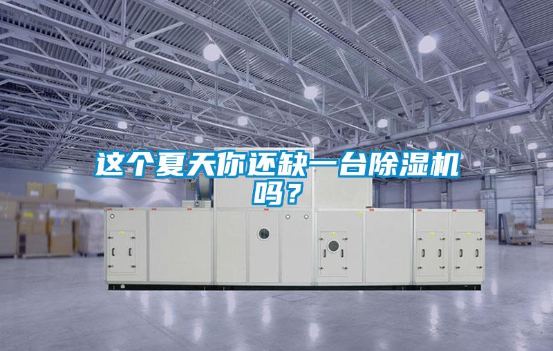 這個夏天你還缺一臺除濕機嗎？