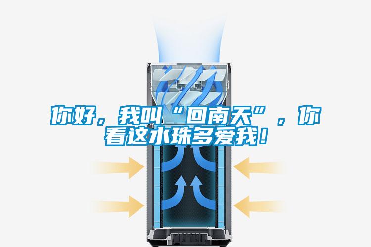 你好，我叫“回南天”，你看這水珠多愛我！