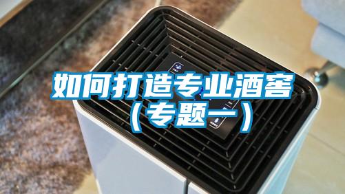 如何打造專業酒窖（專題一）