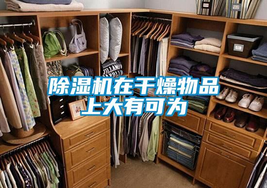 除濕機(jī)在干燥物品上大有可為