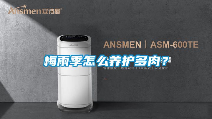 梅雨季怎么養護多肉？