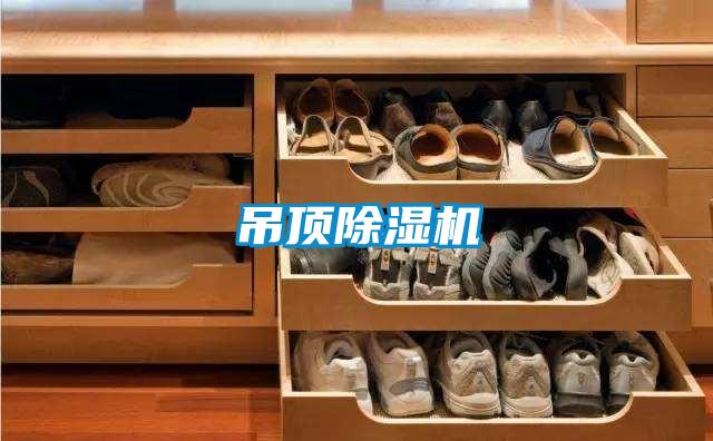 吊頂除濕機