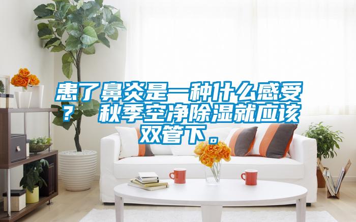 患了鼻炎是一種什么感受？ 秋季空凈除濕就應該雙管下。