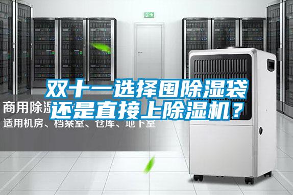 雙十一選擇囤除濕袋還是直接上除濕機？