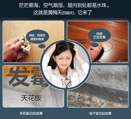 恒濕機(jī)多少錢(qián)一臺(tái)？高性?xún)r(jià)比恒濕機(jī)