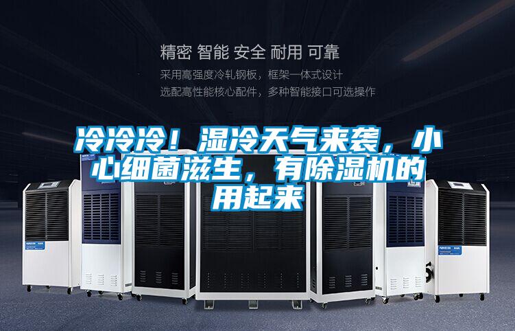 冷冷冷！濕冷天氣來襲，小心細菌滋生，有除濕機的用起來