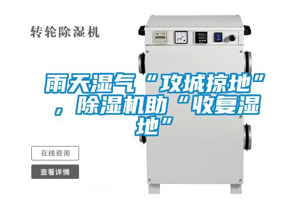 雨天濕氣“攻城掠地”，除濕機助“收復(fù)濕地”