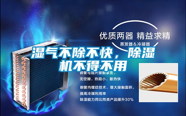 濕氣不除不快，除濕機不得不用