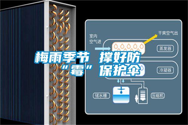 梅雨季節 撐好防“霉”保護傘