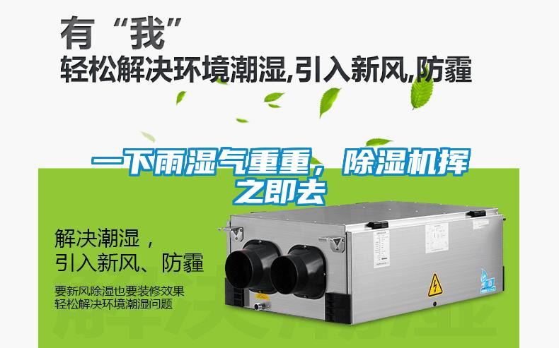 一下雨濕氣重重，除濕機(jī)揮之即去