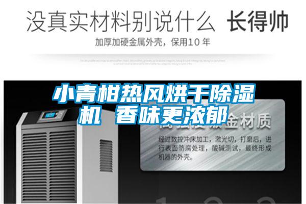 小青柑熱風烘干除濕機 香味更濃郁
