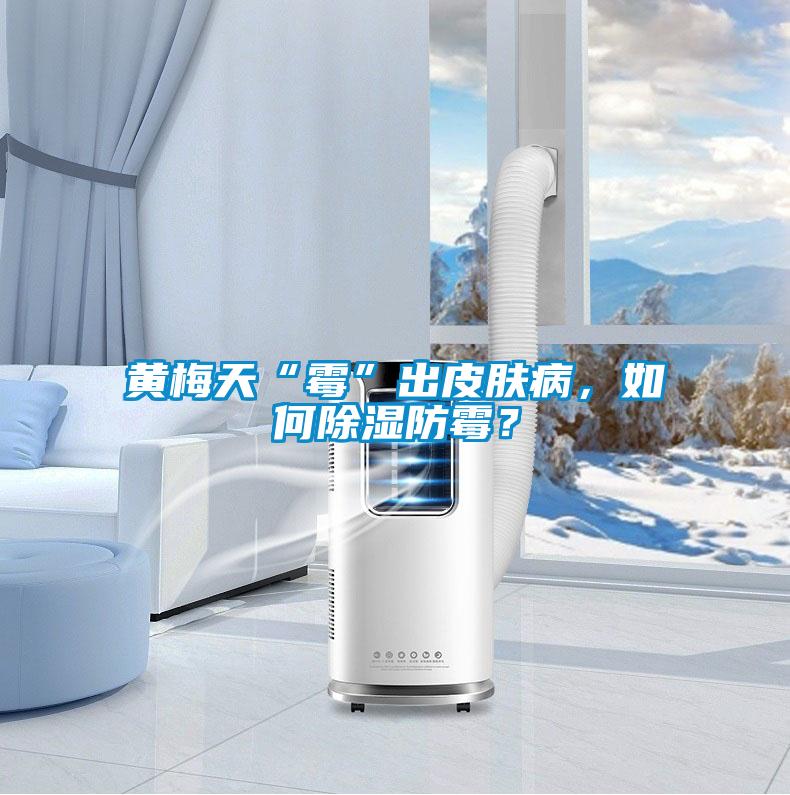 黃梅天“霉”出皮膚病，如何除濕防霉？