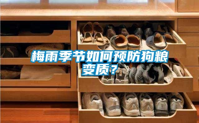 梅雨季節(jié)如何預(yù)防狗糧變質(zhì)？