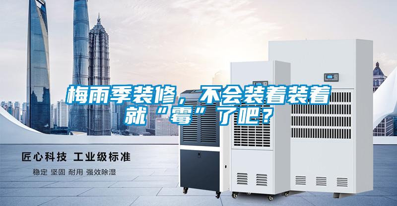 梅雨季裝修，不會裝著裝著就“霉”了吧？