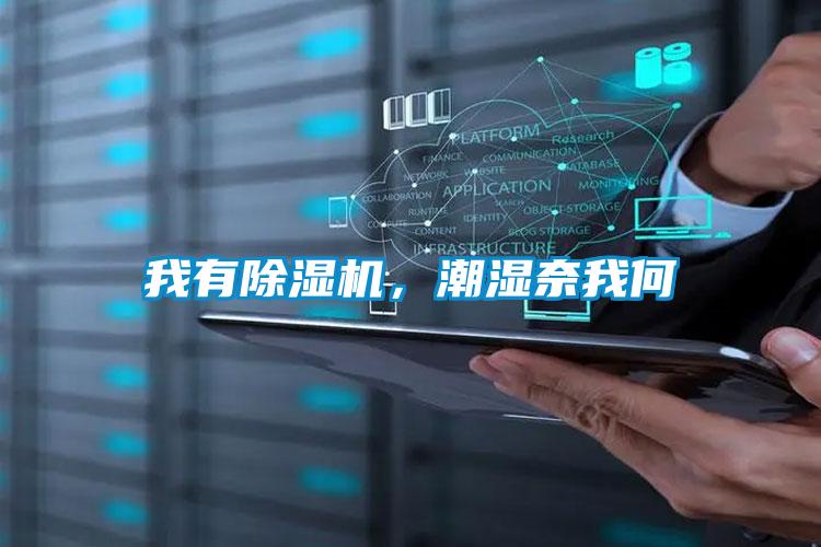 我有除濕機，潮濕奈我何