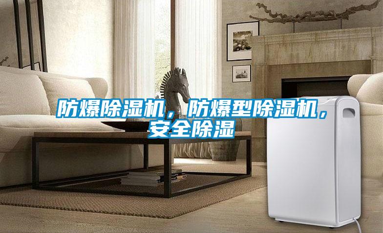 防爆除濕機，防爆型除濕機，安全除濕