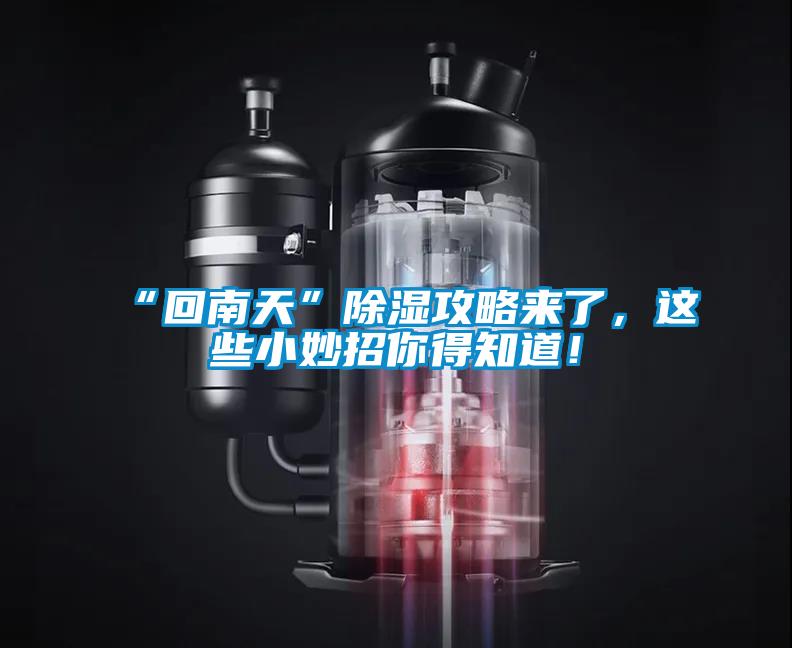 “回南天”除濕攻略來了，這些小妙招你得知道！