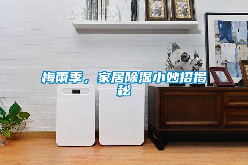 梅雨季，家居除濕小妙招揭秘