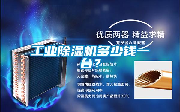 工業(yè)除濕機多少錢一臺？