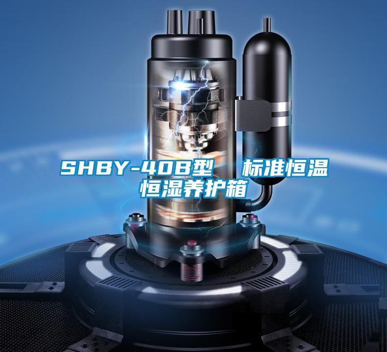SHBY-40B型  標準恒溫恒濕養(yǎng)護箱