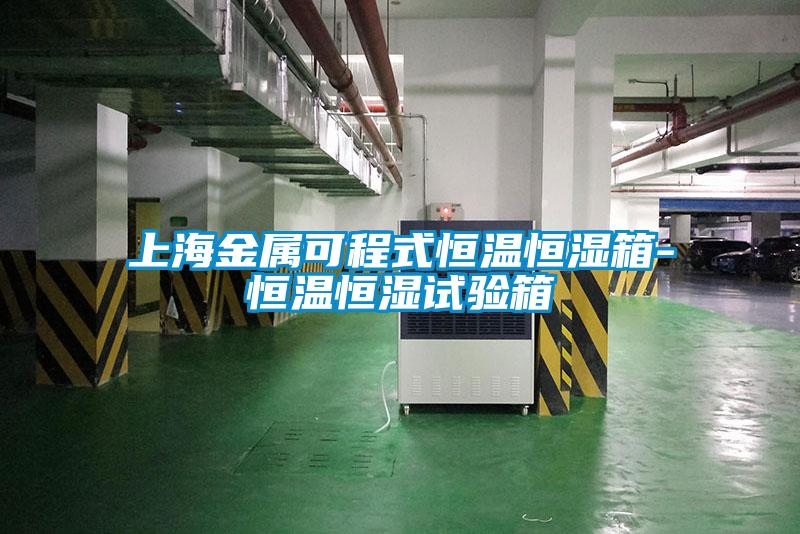 上海金屬可程式恒溫恒濕箱-恒溫恒濕試驗(yàn)箱