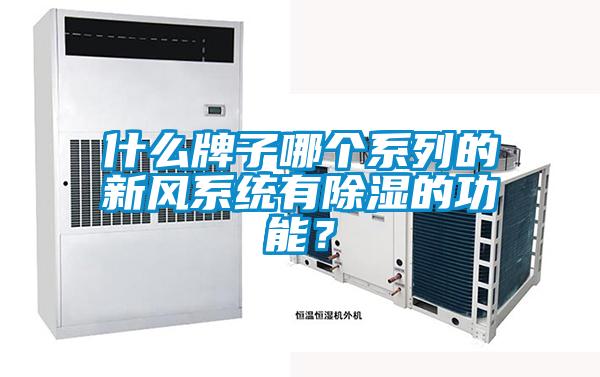 什么牌子哪個系列的新風系統有除濕的功能？