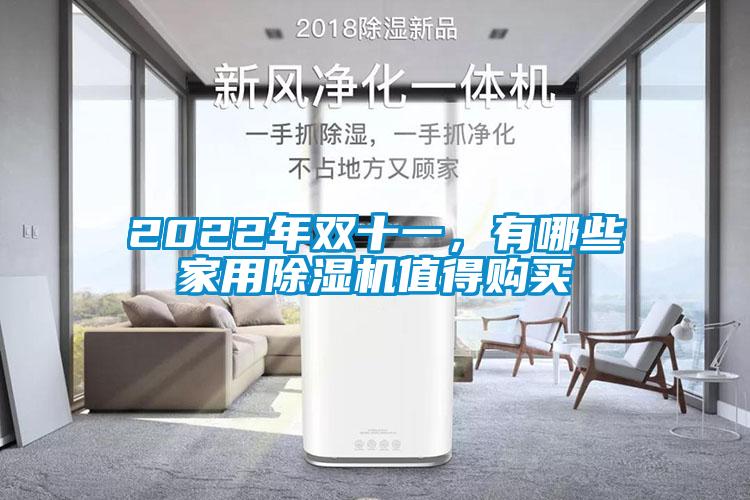 2022年雙十一，有哪些家用除濕機值得購買
