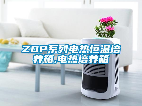 ZDP系列電熱恒溫培養箱,電熱培養箱