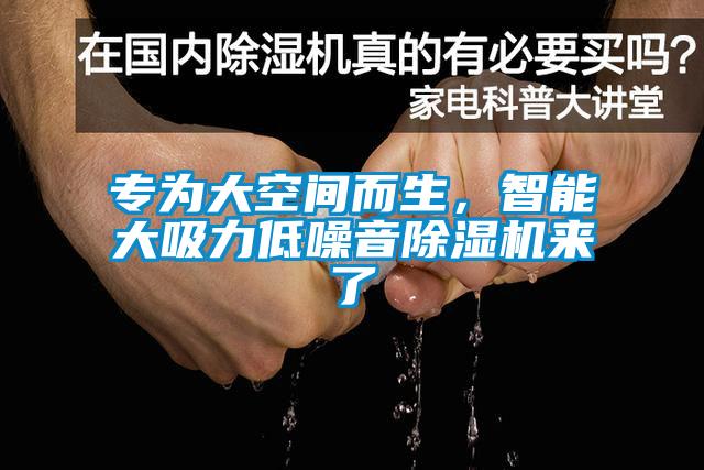 專為大空間而生，智能大吸力低噪音除濕機來了
