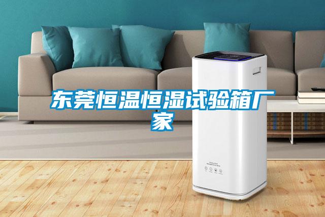 東莞恒溫恒濕試驗箱廠家