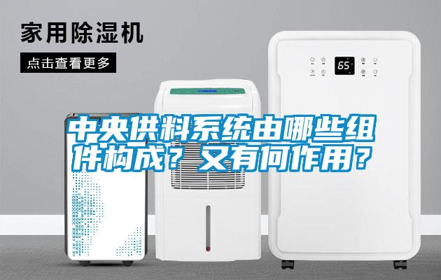 中央供料系統由哪些組件構成?又有何作用?