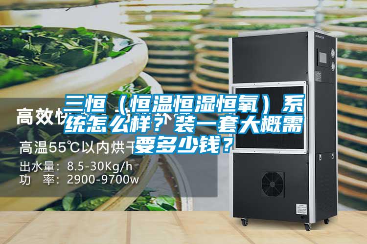 三恒（恒溫恒濕恒氧）系統怎么樣？裝一套大概需要多少錢？
