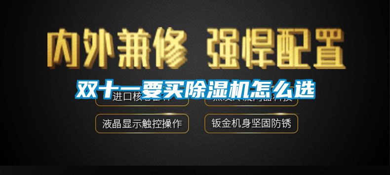 雙十一要買除濕機怎么選