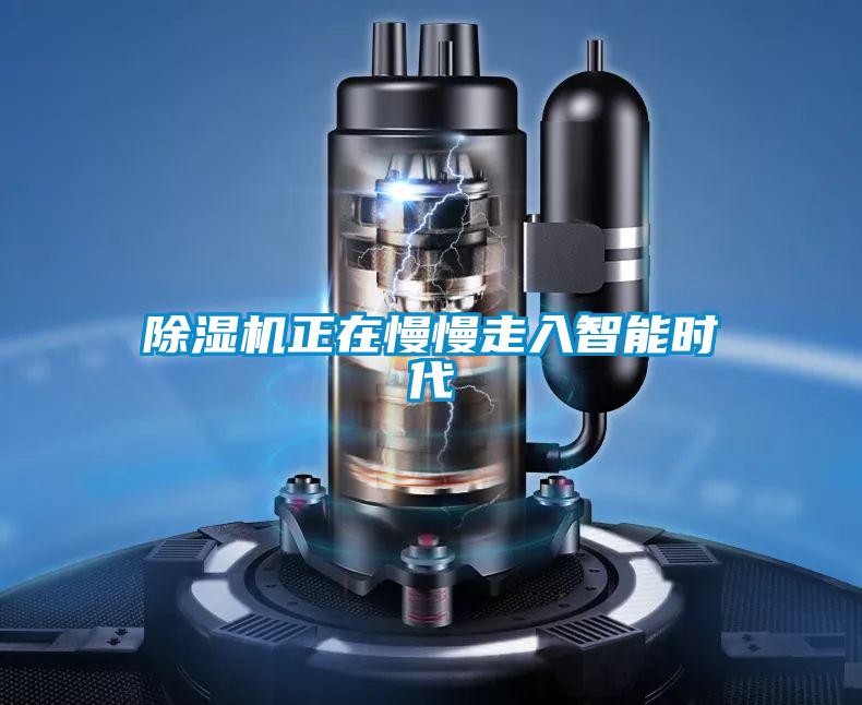 除濕機(jī)正在慢慢走入智能時(shí)代