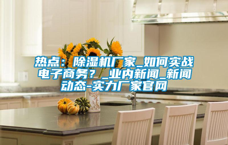 熱點：除濕機廠家_如何實戰電子商務？_業內新聞_新聞動態-實力廠家官網